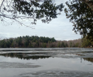 View of Percy Lake from the shorline with a bit of ice remaining on the surface of the water.
