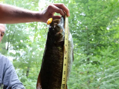 Cohen's hand holding a 18.5 inch smallmouth Bass
