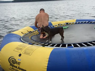 A man and a dog on the Rave water trampoline beside the dock