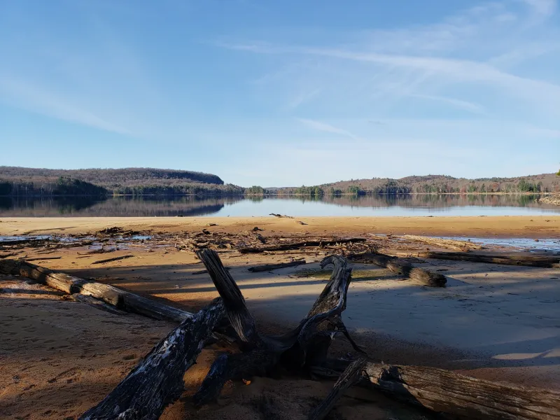 A beach on Percy Lake covered in large driftwood logs.